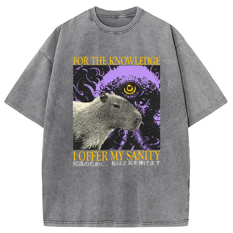 Modecanvas I Offer My Sanity Vintage Japanese Capybara Washed T-Shirt