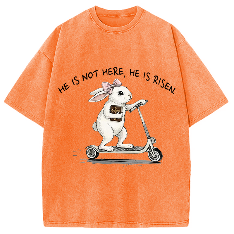 Modecanvas He Is Risen Easter Bunny DTG Printing Washed T-Shirt