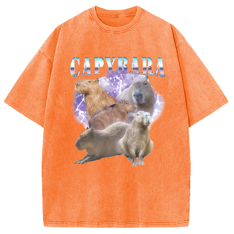 Modecanvas Vintage Capybara Washed T-Shirt