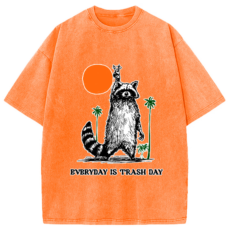 Modecanvas Everyday Is Trash Day Raccoon Washed T-Shirt