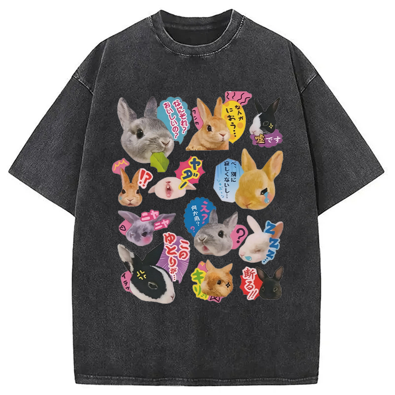 Modecanvas Japanese Bunny DTG Printing Washed T-Shirt