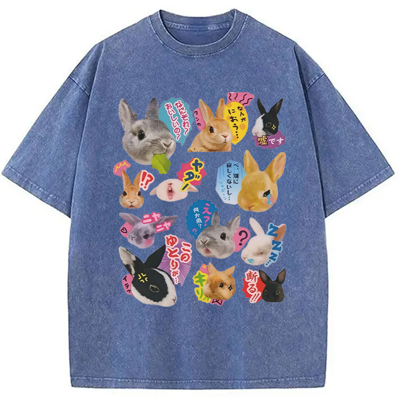 Modecanvas Japanese Bunny DTG Printing Washed T-Shirt