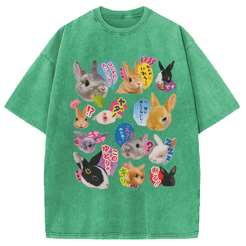 Modecanvas Japanese Bunny DTG Printing Washed T-Shirt