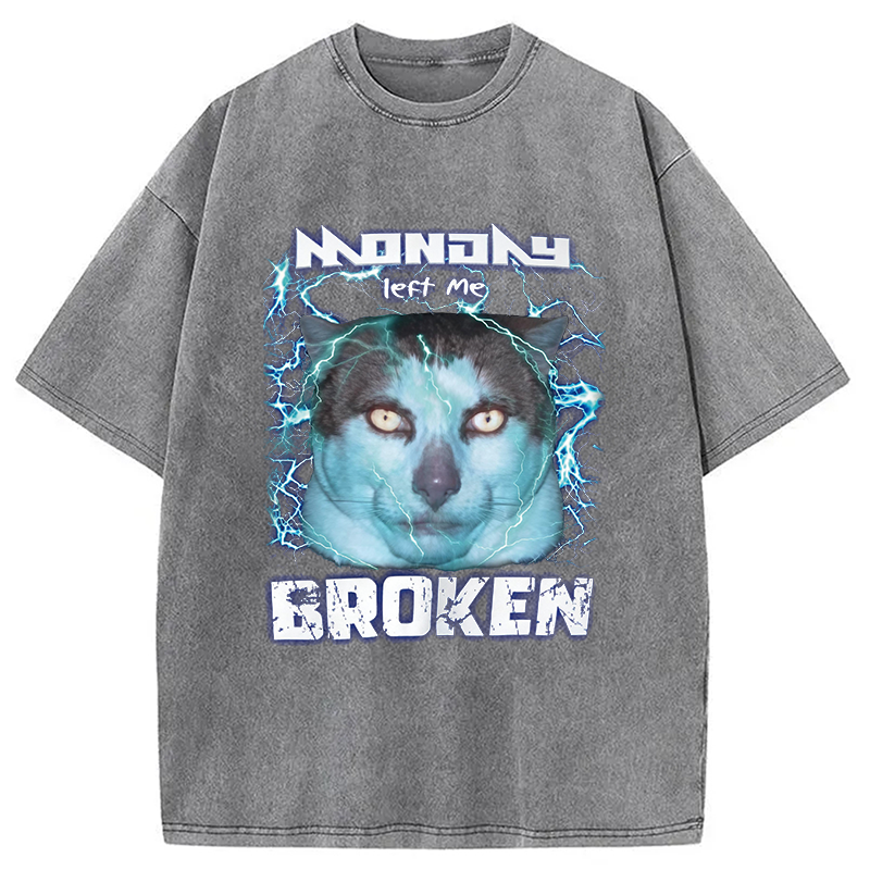 Modecanvas Monday Left Me Broken Cat DTG Printing Washed T-Shirt
