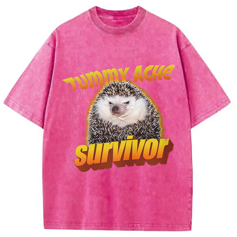 Modecanvas Tummy Ache Survivor Meme Washed T-Shirt-modecanvas