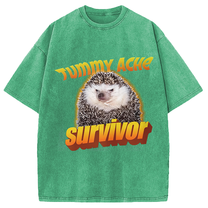 Modecanvas Tummy Ache Survivor Meme Washed T-Shirt-modecanvas