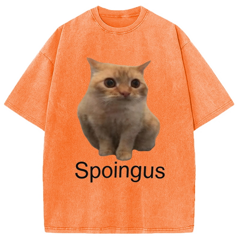 Modecanvas Spoingus The Cat Meme DTG Printing Washed T-Shirt