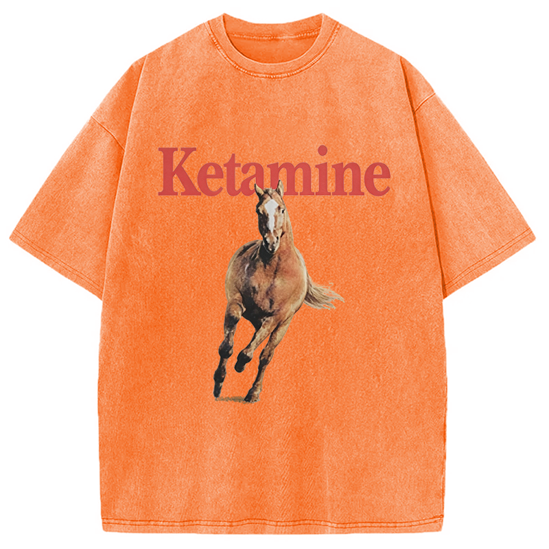 Modecanvas Ketamine Horse Run DTG Printing Washed T-Shirt