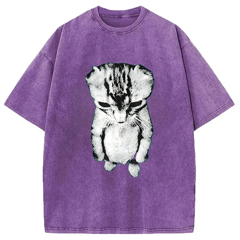 Modecanvas El Gato Munchkin Kitten DTG Printing Washed T-Shirt