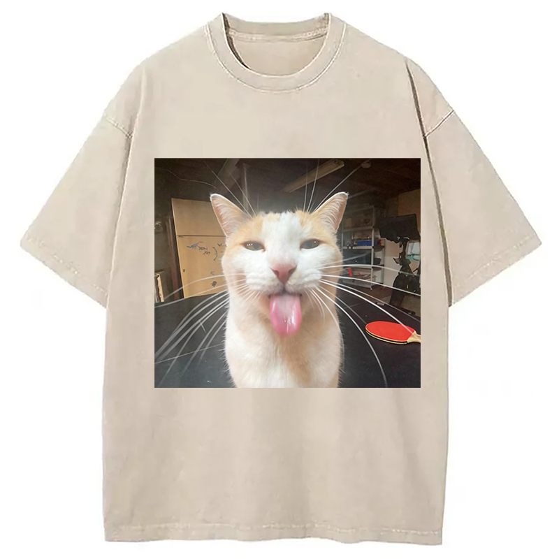 Modecanvas Silly Bleh Funny Cat Meme DTG Printing Washed T-Shirt