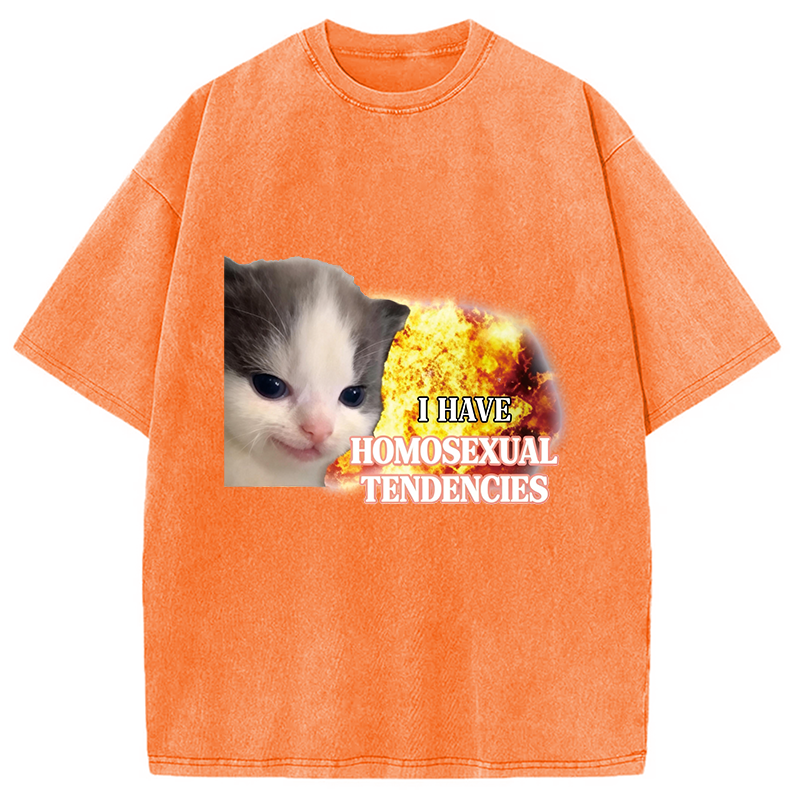 Modecanvas I Have Homosexual Tendencies Evil Kitty Meme DTG Printing Washed T-Shirt