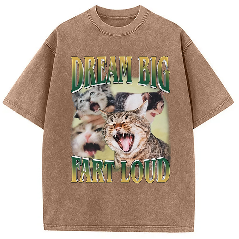 Modecanvas Dream Big Fart Loud Funny Cat Meme DTG Printing Washed T-Shirt