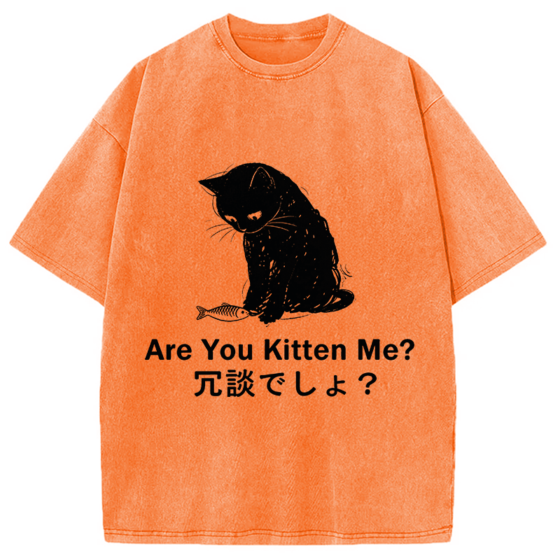 Modecanvas Are You Kitten Me DTG Printing Washed T-Shirt