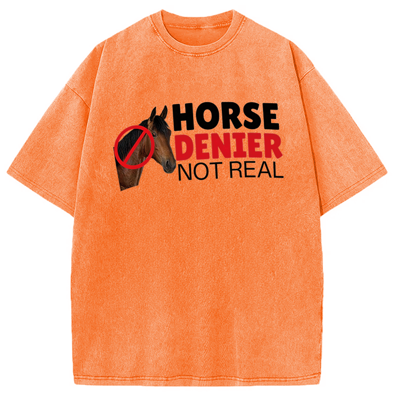 Modecanvas Horse Denier They Are Not Real DTG Printing Washed T-Shirt