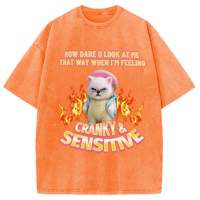Modecanvas Cranky Kitty DTG Printing Washed T-Shirt