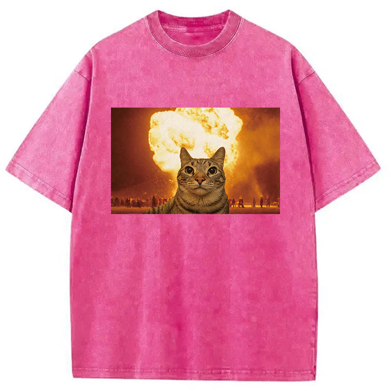 Modecanvas Cat Explosion Brain Rot DTG Printing Washed T-Shirt