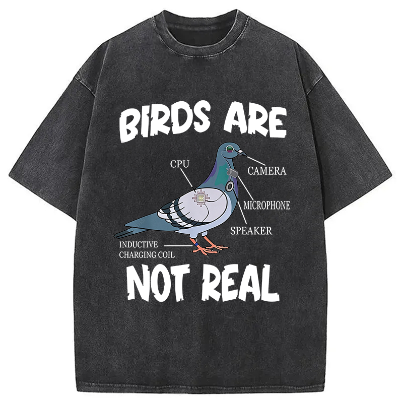 Modecanvas Pigeon Birds Are Not Real Funny DTG Printing Washed T-Shirt