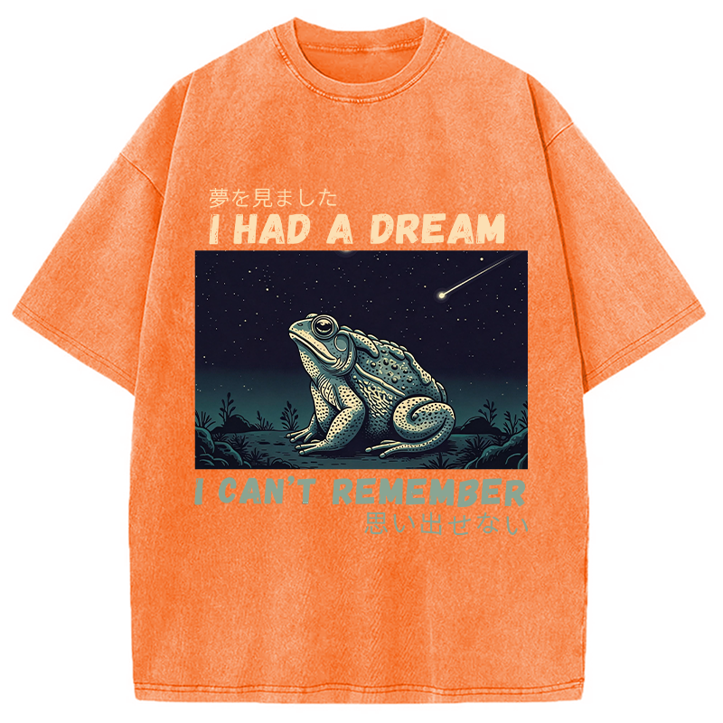 Modecanvas I Had A Dream Toad DTG Printing Washed T-Shirt