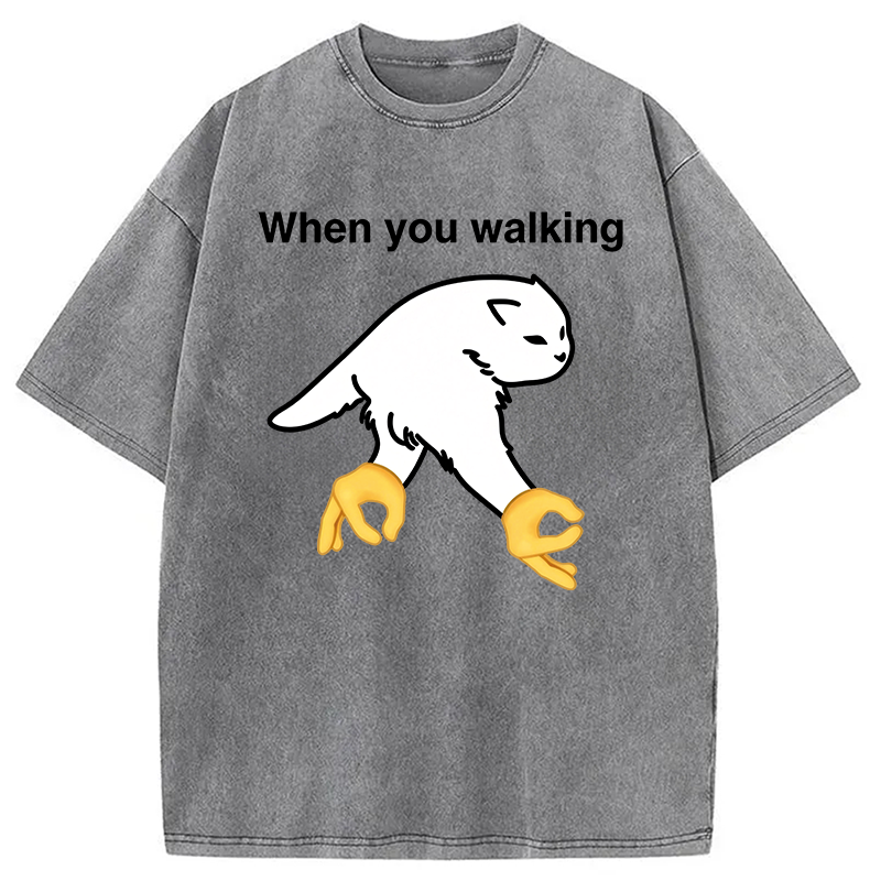Modecanvas When You Walking Cursed Cat Meme DTG Printing Washed T-Shirt