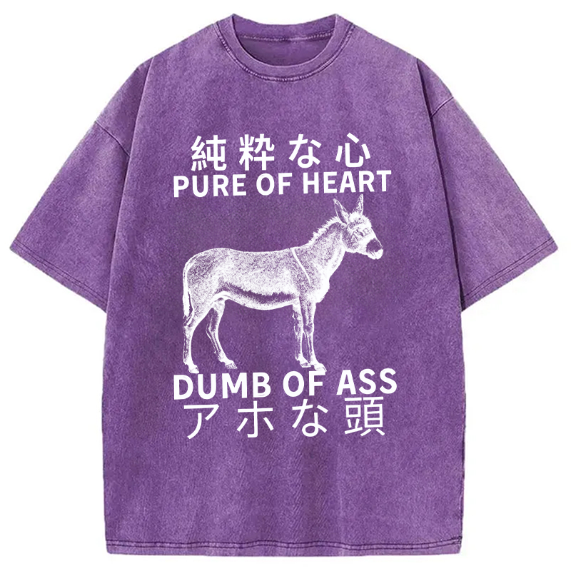 Modecanvas Donkey Pure of Heart Dumb of Ass Washed T-Shirt-modecanvas