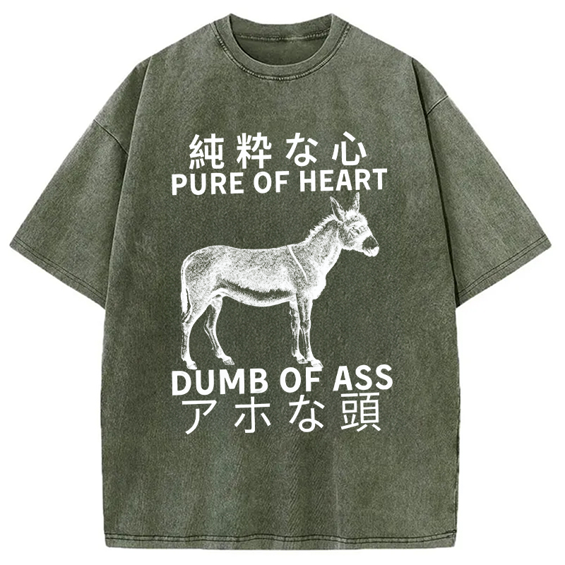Modecanvas Donkey Pure of Heart Dumb of Ass Washed T-Shirt-modecanvas