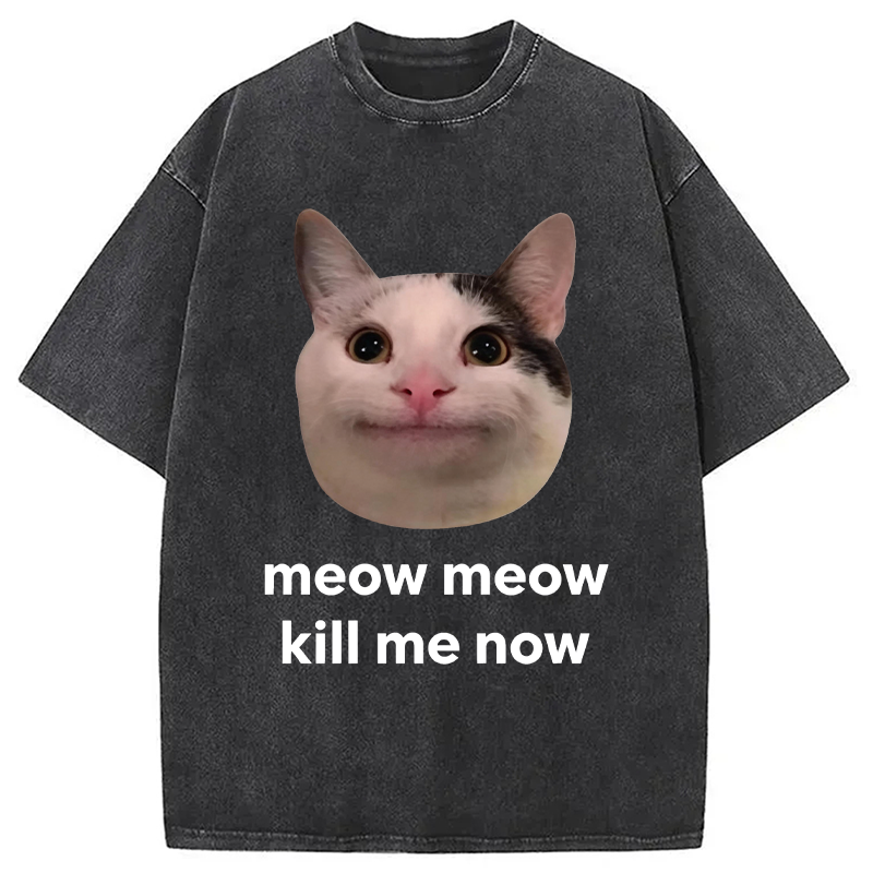 Modecanvas Meow Meow Kill Me Now Polite Cat Meme DTG Printing Washed T-Shirt