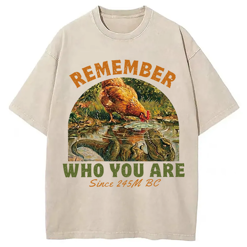 Modecanvas Remember Who You Are Funny DTG Printing Washed T-Shirt