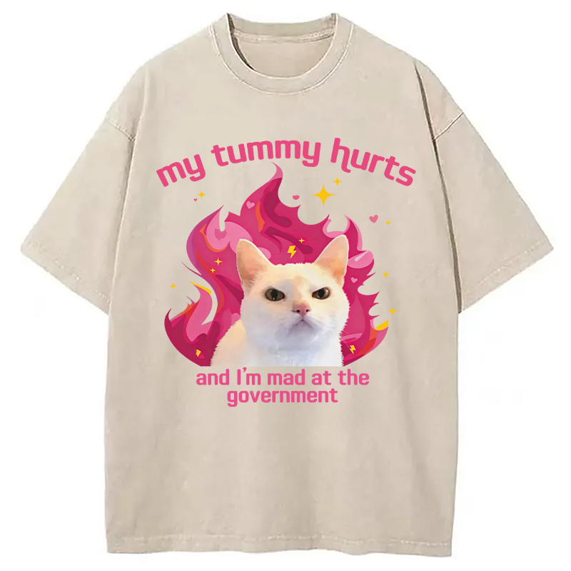 Modecanvas My Tummy Hurts Funny Cat Meme DTG Printing Washed T-Shirt