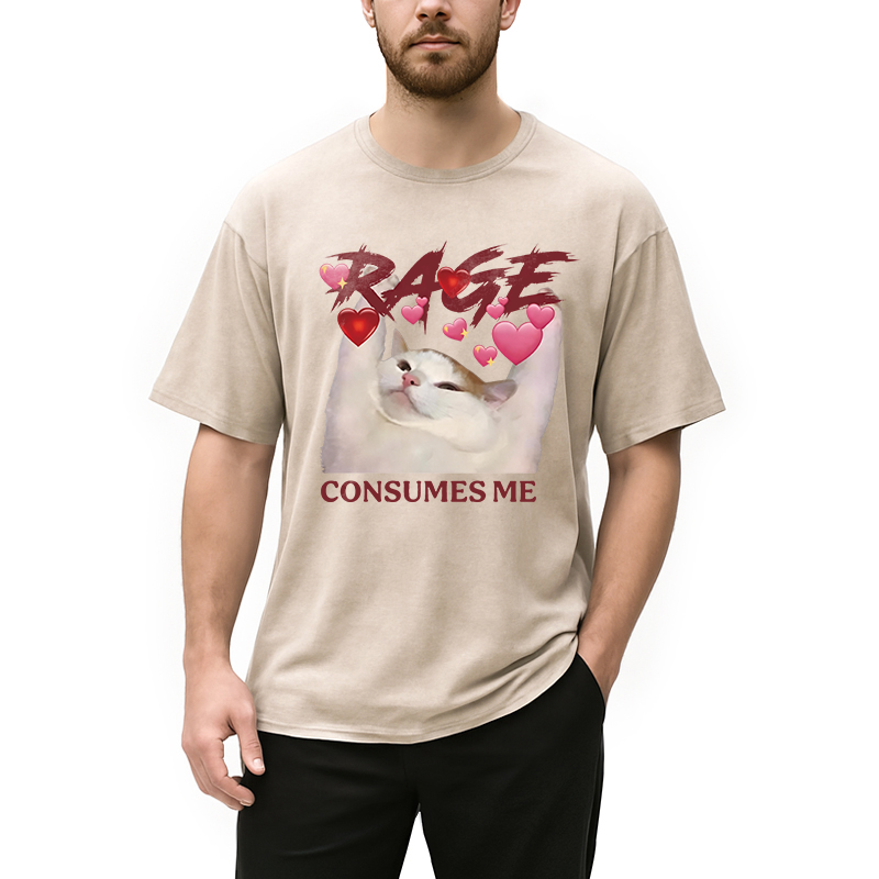 Modecanvas Rage Consumes Me Funny Cat Meme DTG Printing Washed T-Shirt