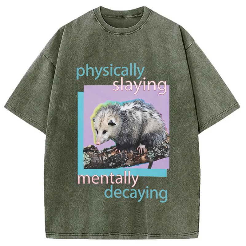 Modecanvas Physically Slaying Mentally Decaying DTG Printing Washed T-Shirt