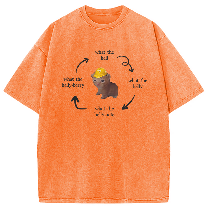 Modecanvas What The Helly Funny Cat Meme DTG Printing Washed T-Shirt