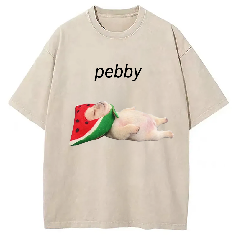 Modecanvas Funny Pibble Dog Meme DTG Printing Washed T-Shirt