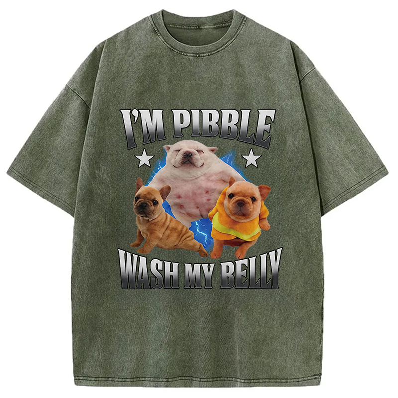 Modecanvas Im Pibble Wash My Belly Funny Dog DTG Printing Washed T-Shirt