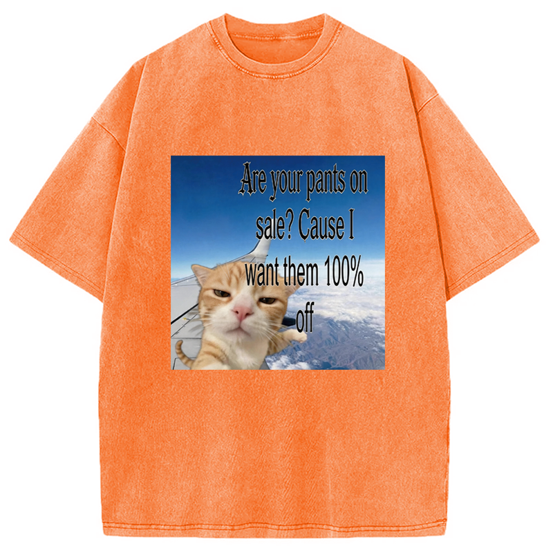 Modecanvas Are Your Pants On Sale? Cause I Want Them 100% Off DTG Printing Washed T-Shirt