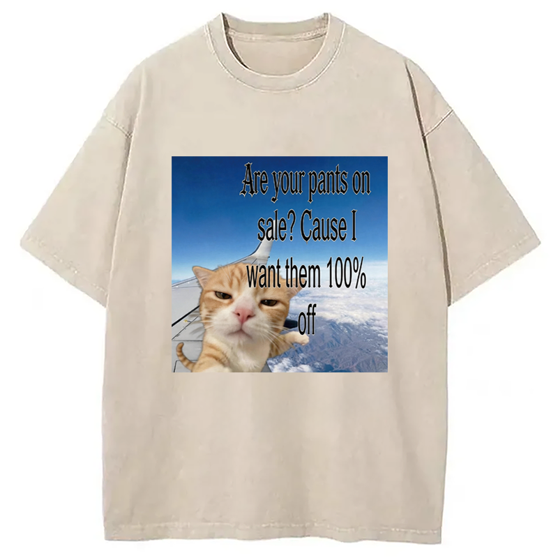 Modecanvas Are Your Pants On Sale? Cause I Want Them 100% Off DTG Printing Washed T-Shirt