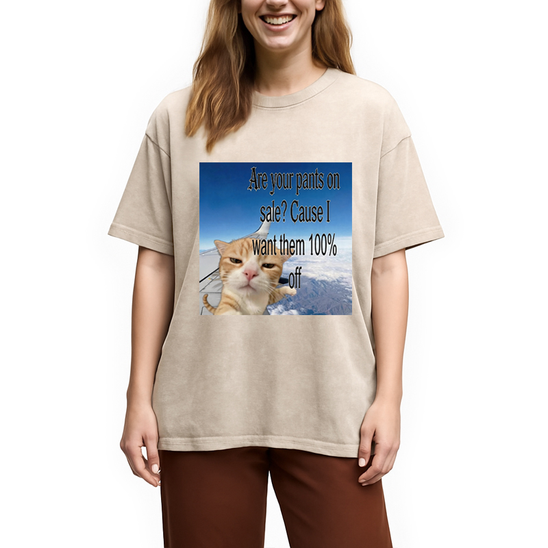 Modecanvas Are Your Pants On Sale? Cause I Want Them 100% Off DTG Printing Washed T-Shirt