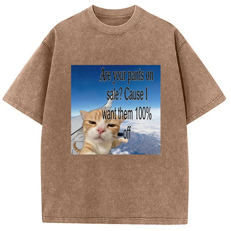 Modecanvas Are Your Pants On Sale? Cause I Want Them 100% Off DTG Printing Washed T-Shirt