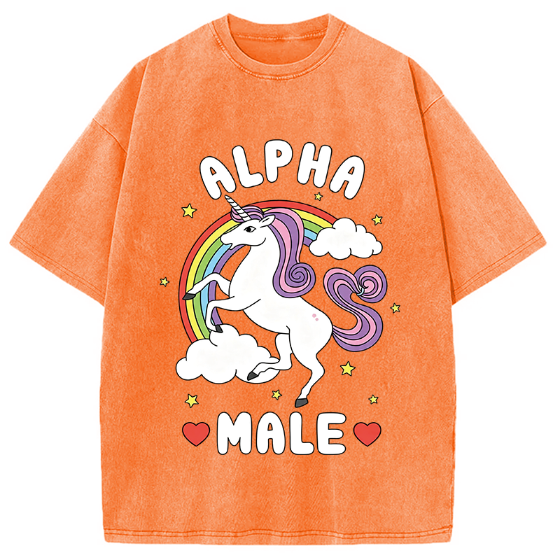 Modecanvas Alpha Male Energy Unicorn DTG Printing Washed T-Shirt