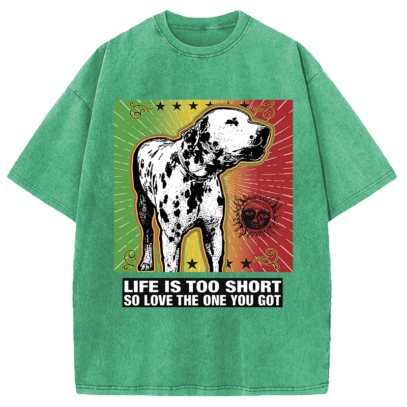 Modecanvas Life Is Too Short So Love The One You Got DTG Printing Washed T-Shirt