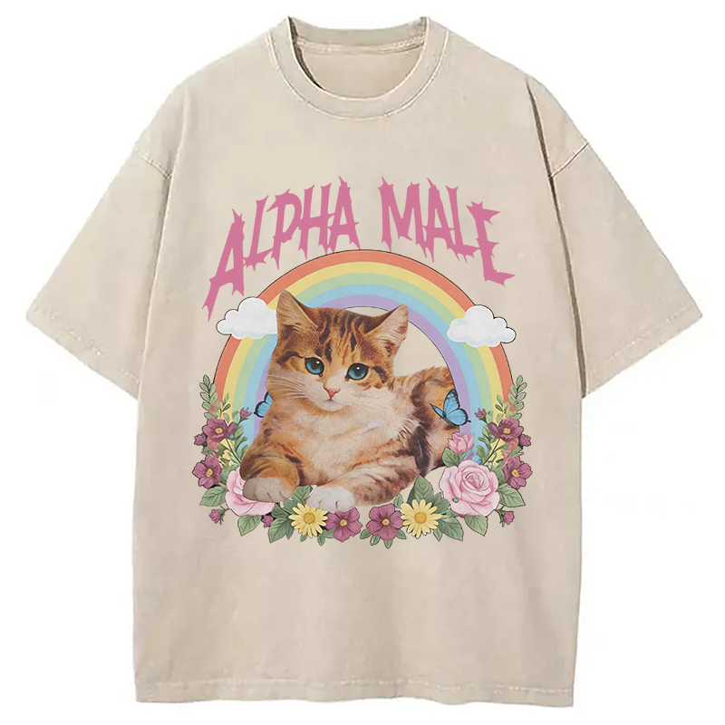 Modecanvas Alpha Male Funny Kitten Meme DTG Printing Washed T-Shirt