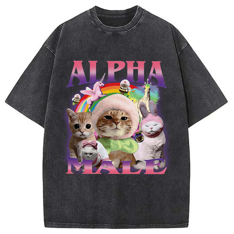 Modecanvas Alpha Male Funny Cat Meme DTG Printing Washed T-Shirt