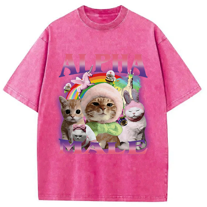 Modecanvas Alpha Male Funny Cat Meme DTG Printing Washed T-Shirt