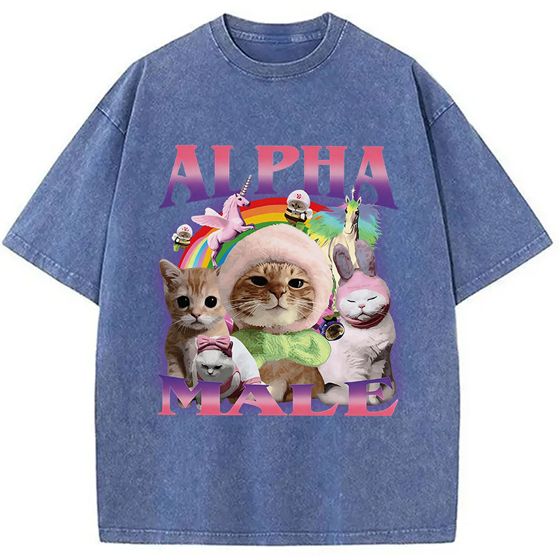 Modecanvas Alpha Male Funny Cat Meme DTG Printing Washed T-Shirt