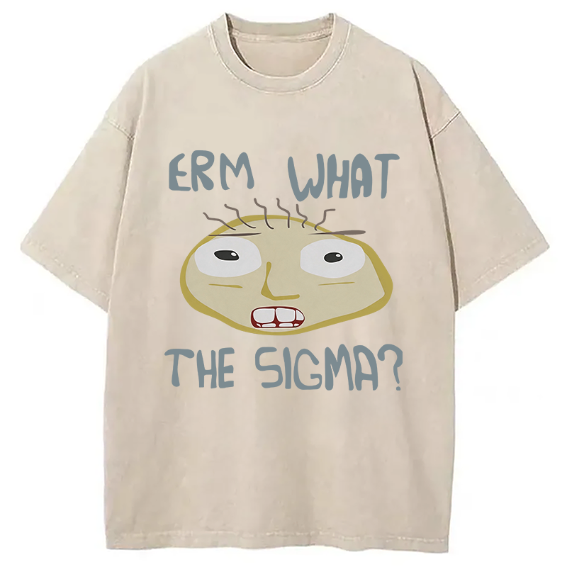 Modecanvas Erm What the Sigma Meme DTG Printing Washed T-Shirt