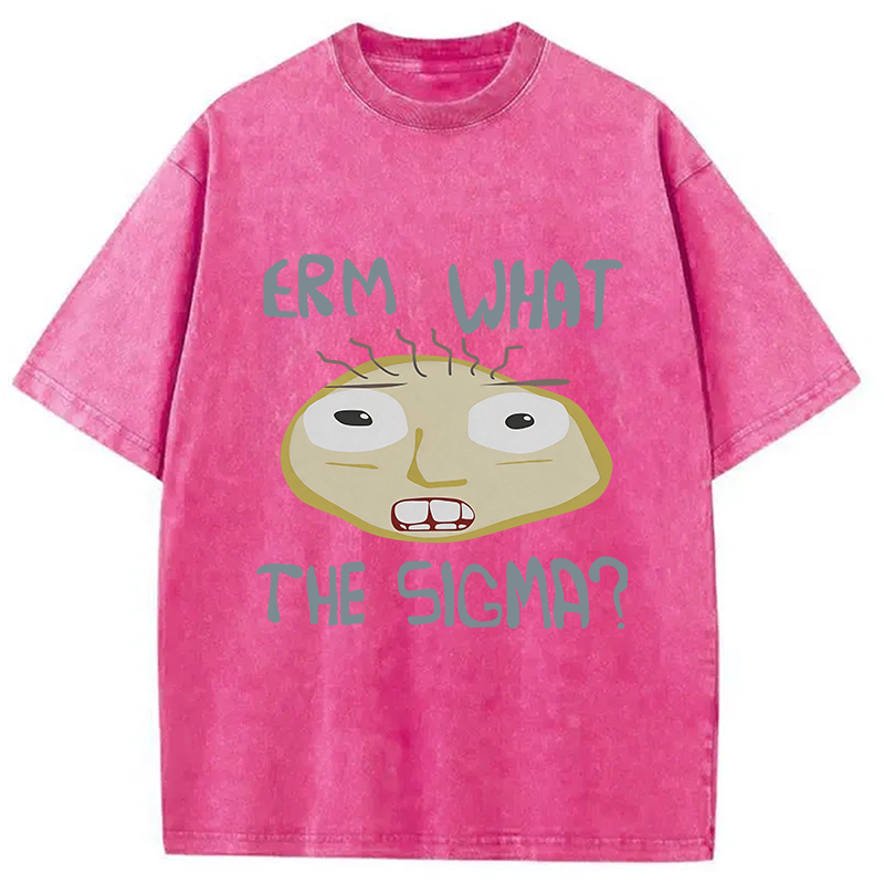 Modecanvas Erm What the Sigma Meme DTG Printing Washed T-Shirt