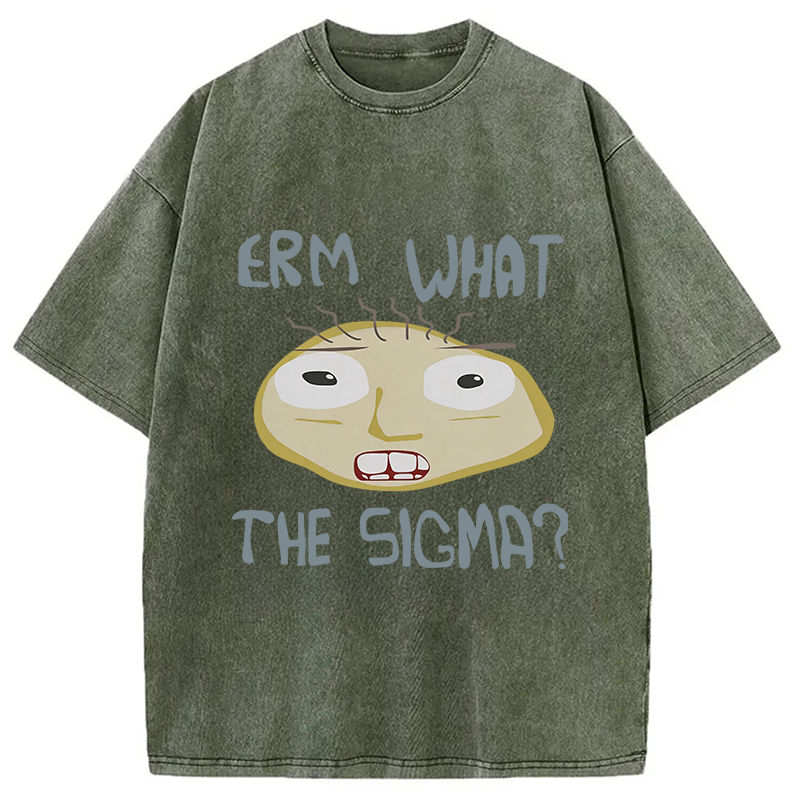 Modecanvas Erm What the Sigma Meme DTG Printing Washed T-Shirt