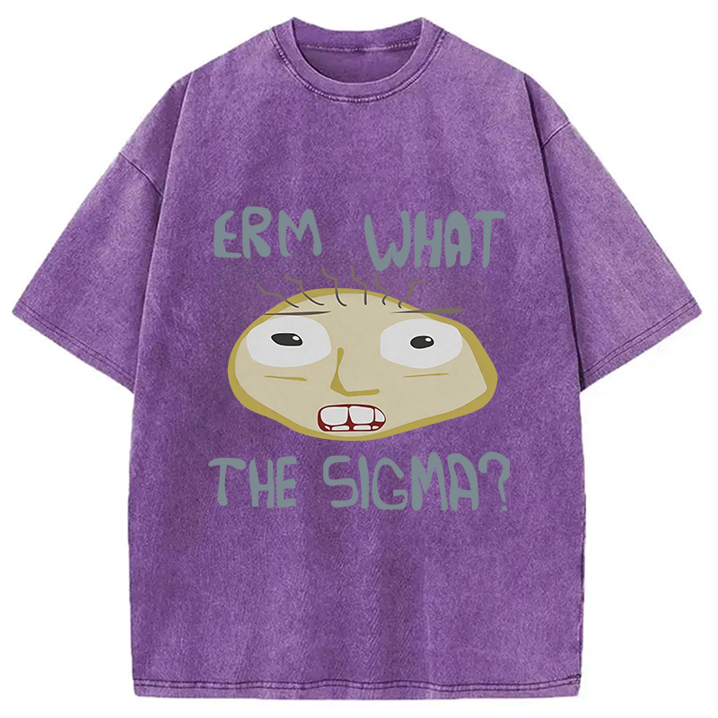 Modecanvas Erm What the Sigma Meme DTG Printing Washed T-Shirt