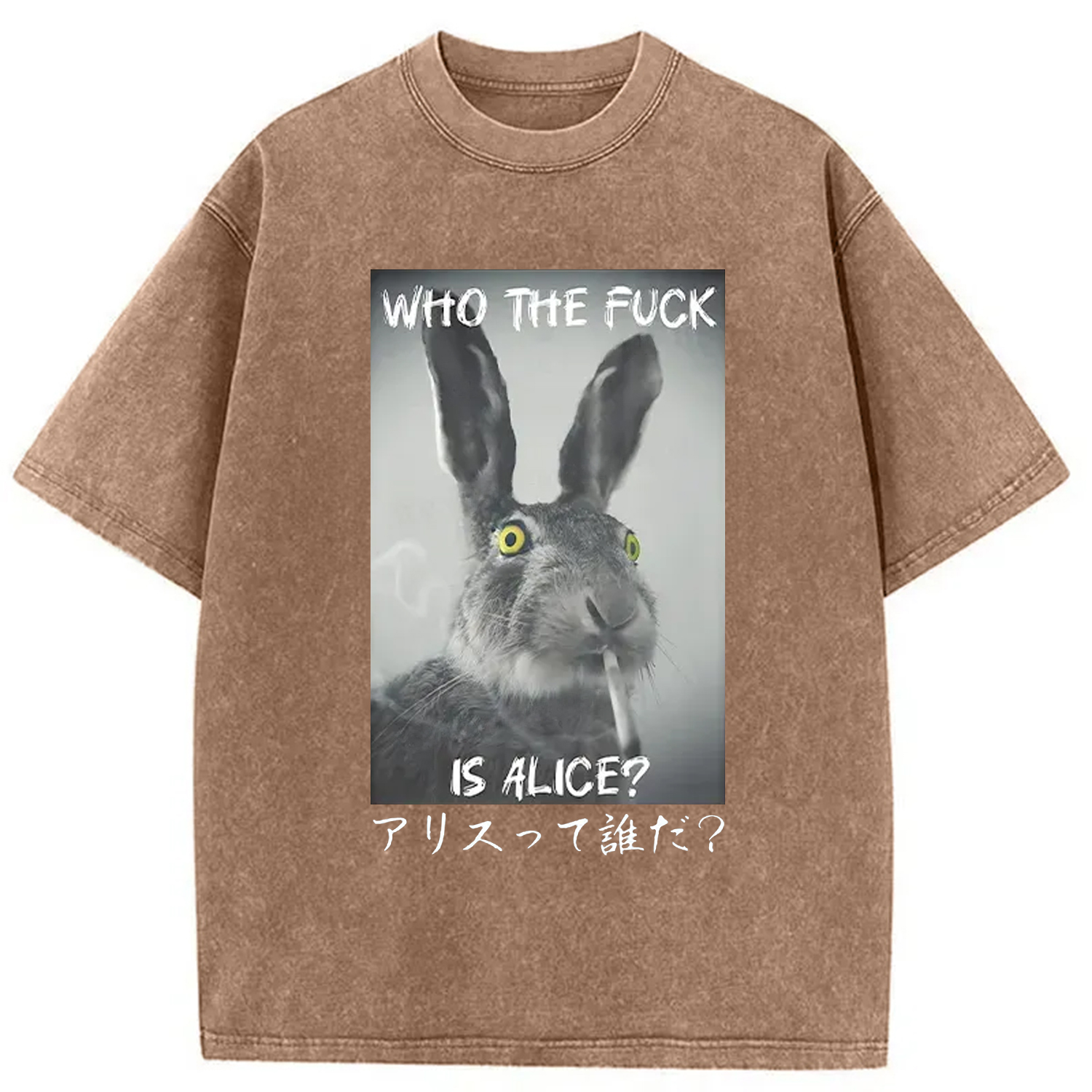 Modecanvas Who Is Alice? Washed T-Shirt