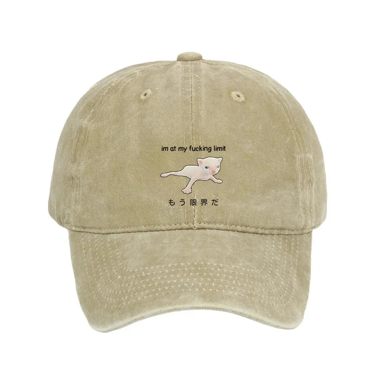 Modecanvas Cat Reaching Its Limit Washed Cap-modecanvas
