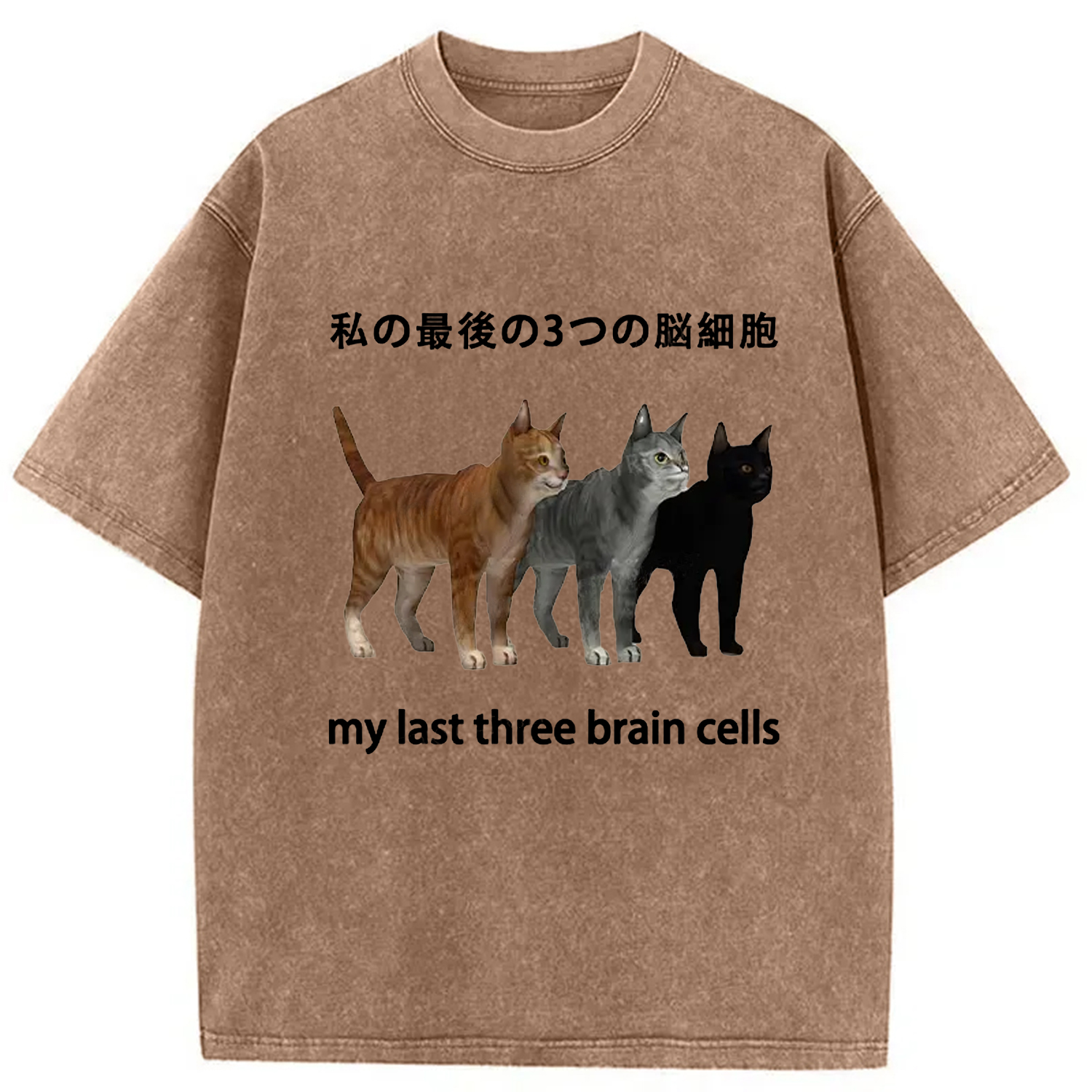 Modecanvas My Last Three Brain Cells Washed T-Shirt